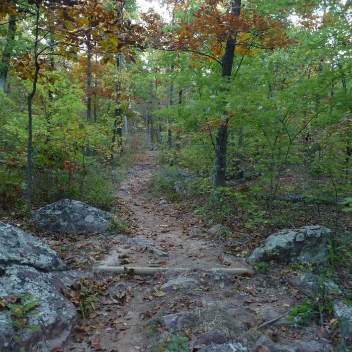 Near Ozark Trail: Taum Sauk Section