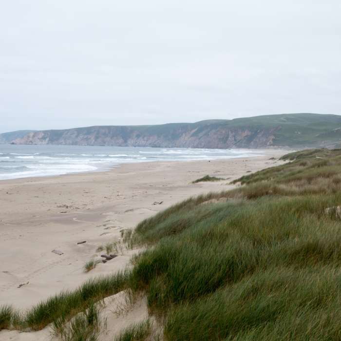 Near Kehoe Beach