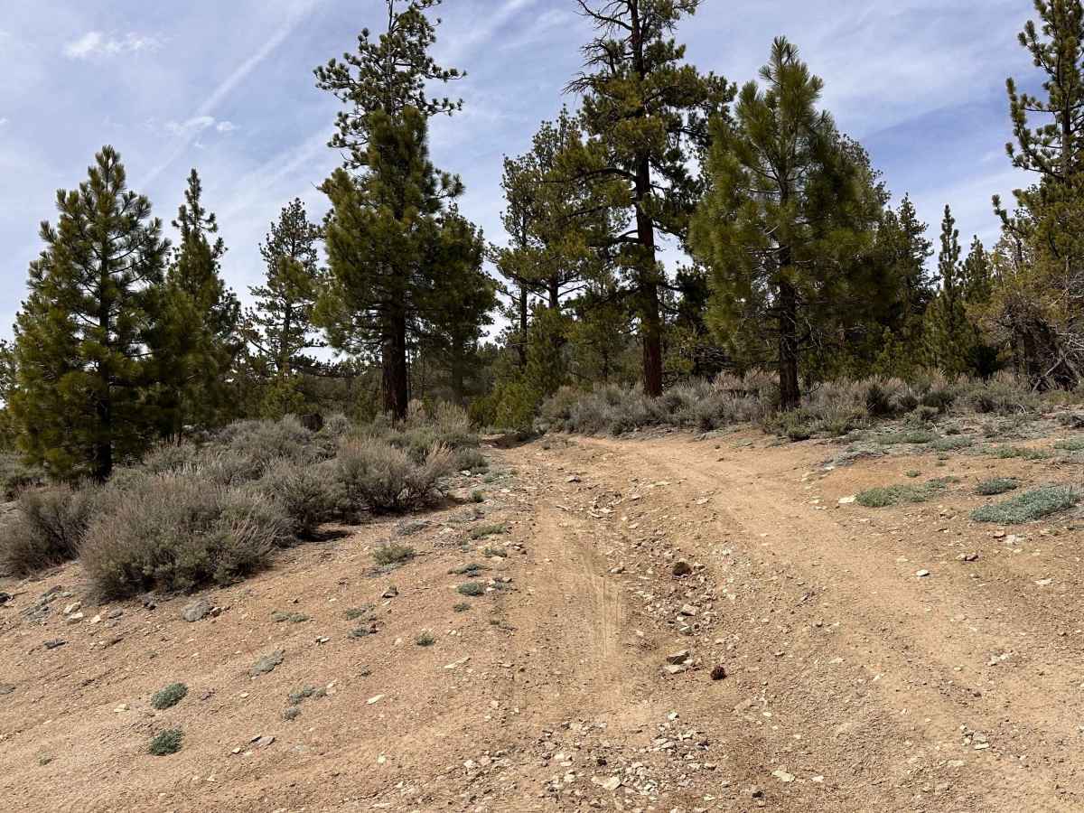 Upper Holcomb PCT photo 6