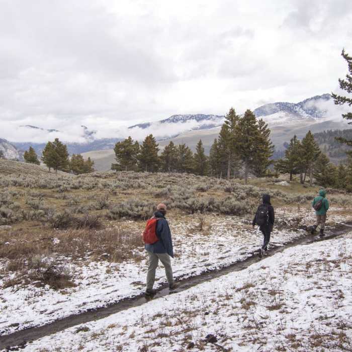 Near Coyote Creek Trail