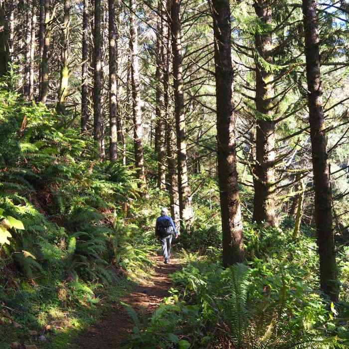 Near Cape Ferrelo Viewpoint