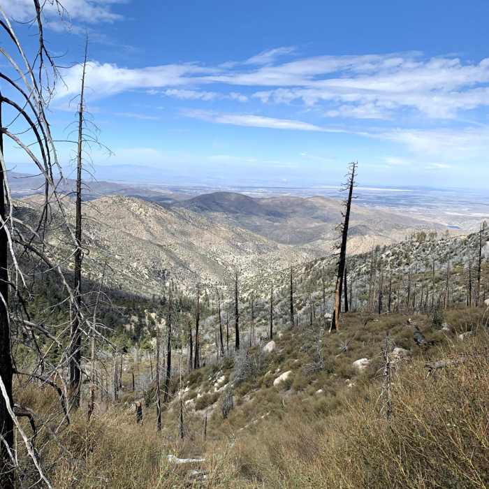 Near Pacifico Mountain Loop