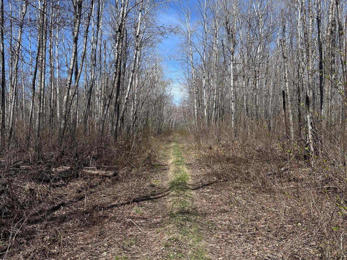 Hay Creek Trail photo 6
