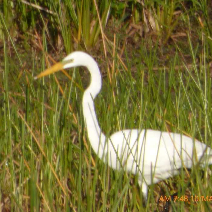 Feeding time Near Riverbend Park