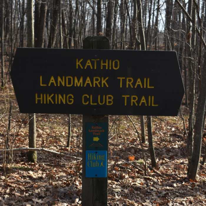 Near Hiking Club Trail - Mille Lacs Kathio State Park