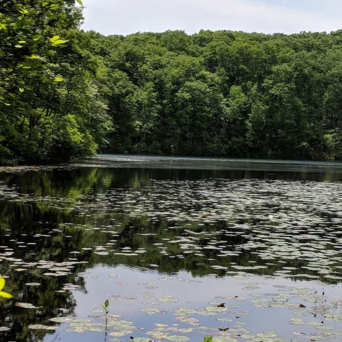 Noanet Pond Near Noanet Pond Loop
