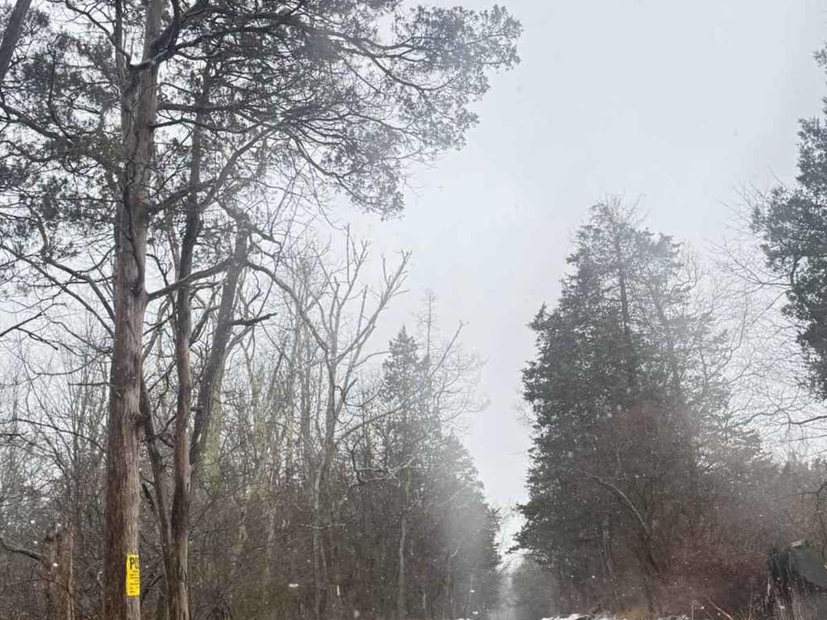 Mount Airy Road  photo 3