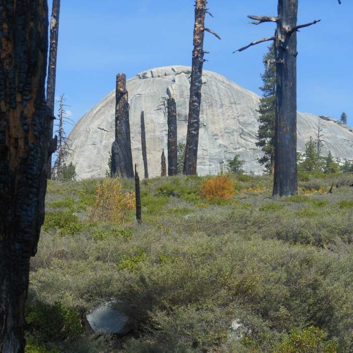 A classic Yosemite dome near the Mono Meadow Cutoff Trail. Near Mono Meadow Cutoff