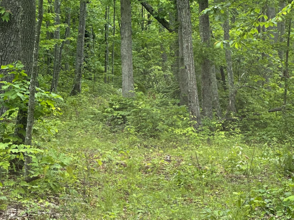 101b photo 2