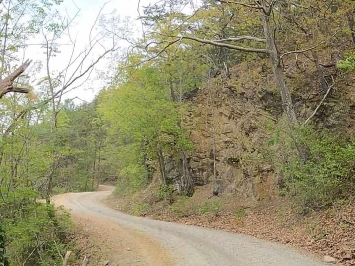 Cove Creek Road photo 2