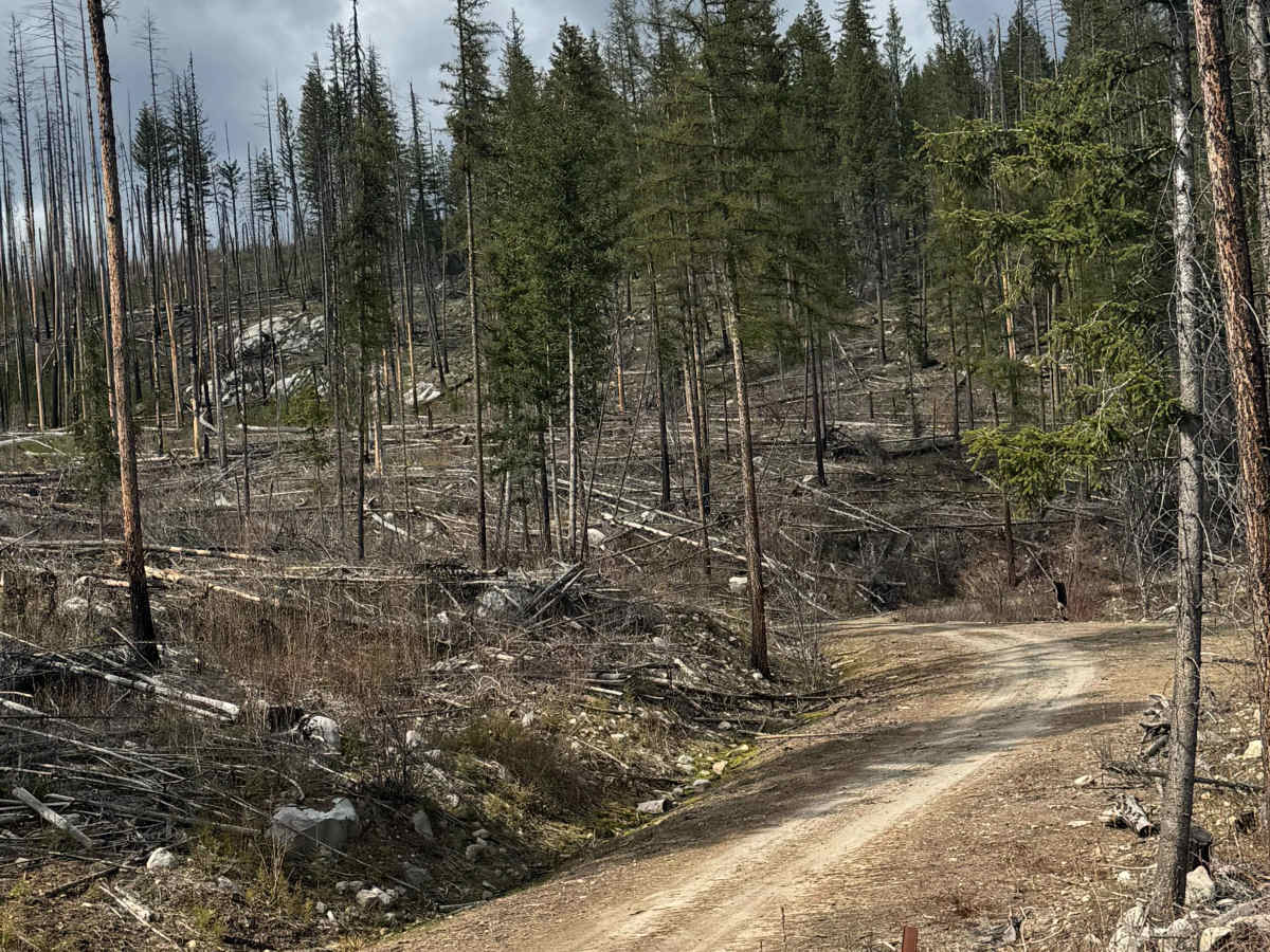 Dry Creek - FS 6100-350 trail photo