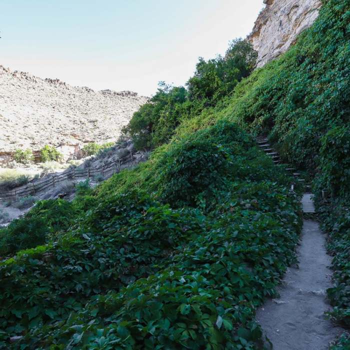 Near Kershaw Ryan State Park's Overlook Loop