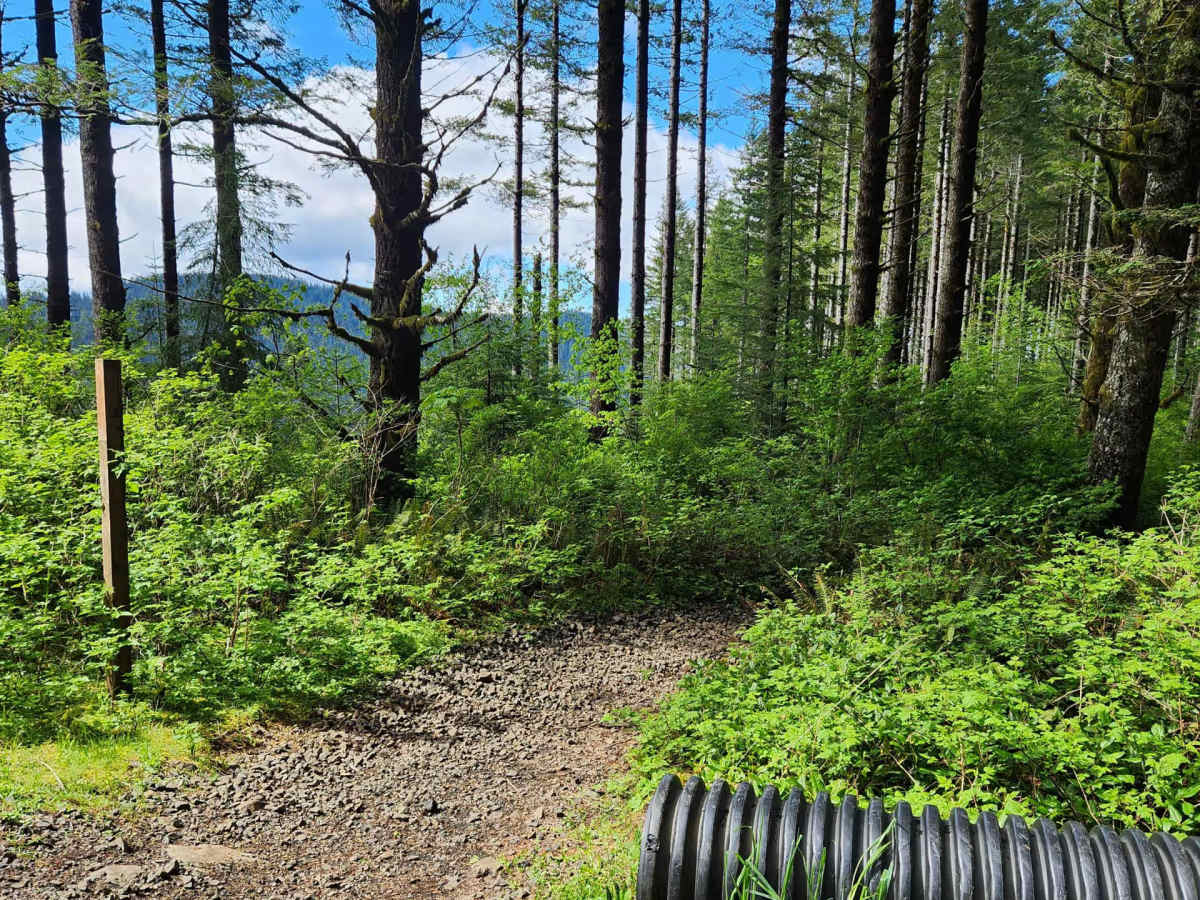 Twin Peaks Trail photo 4