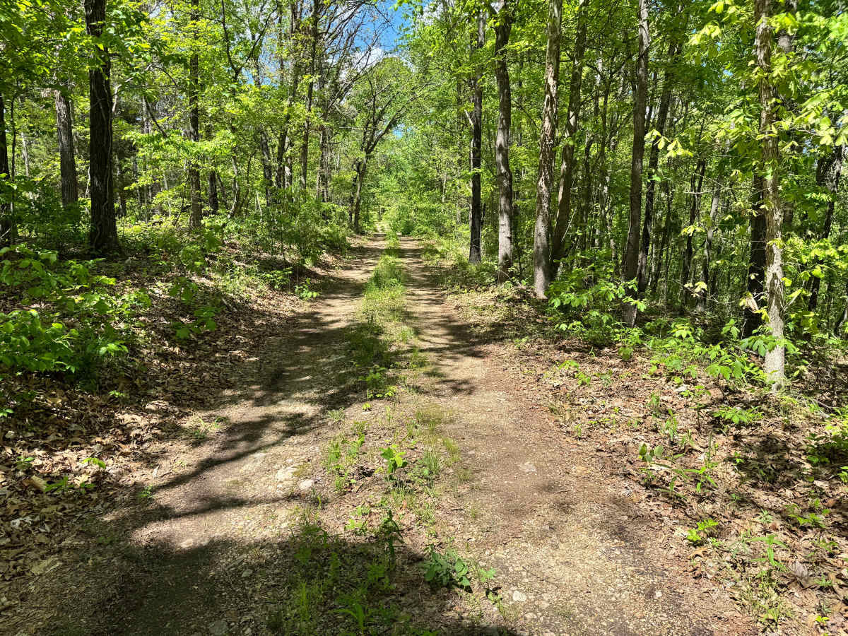 Cave Springs Spur A photo 5