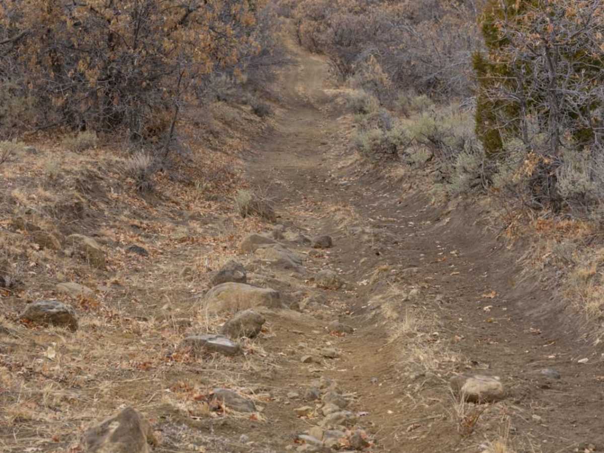 Catamount Trail trail photo