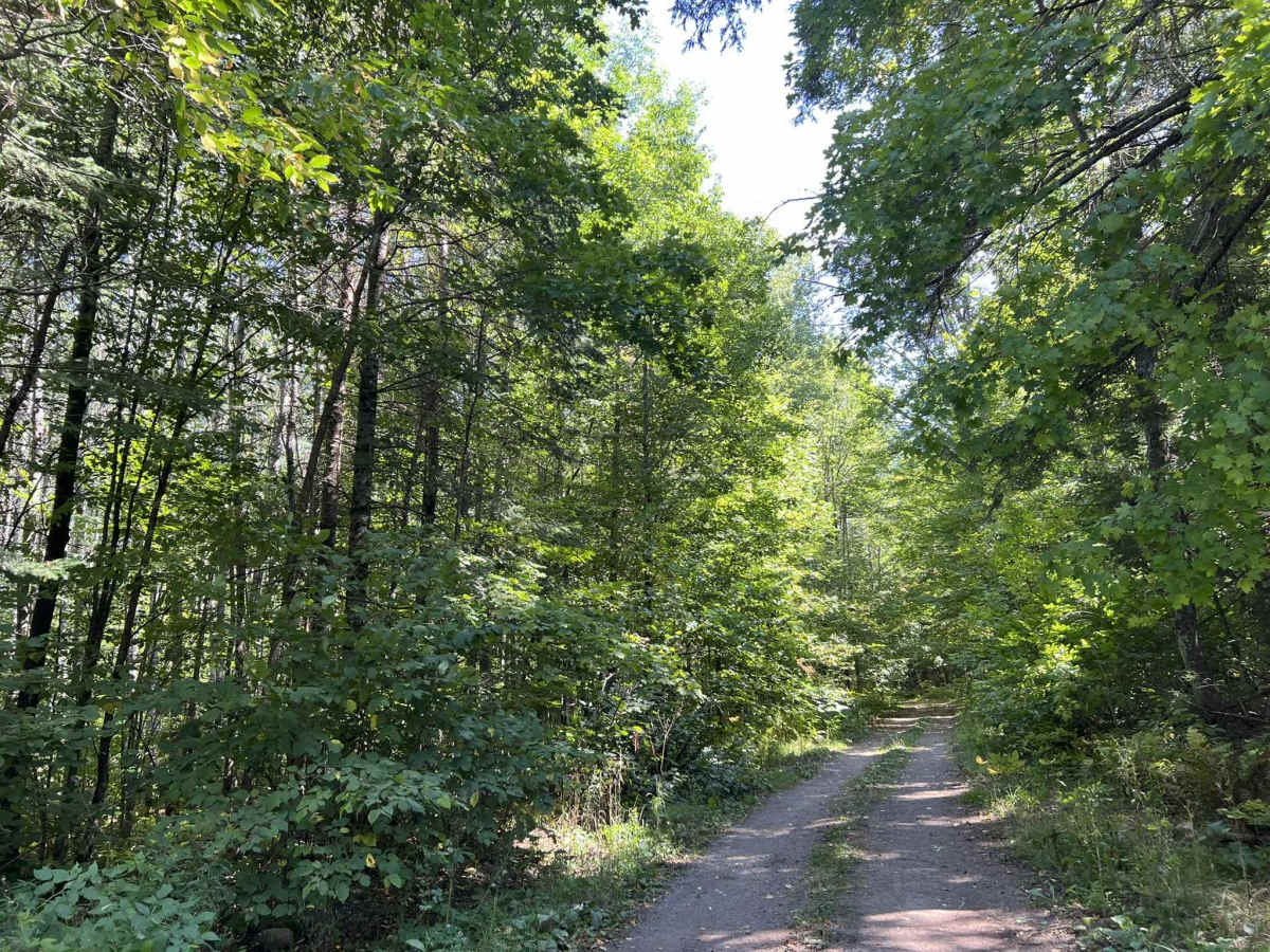Cloud Lake Road - FS 2142 photo 2