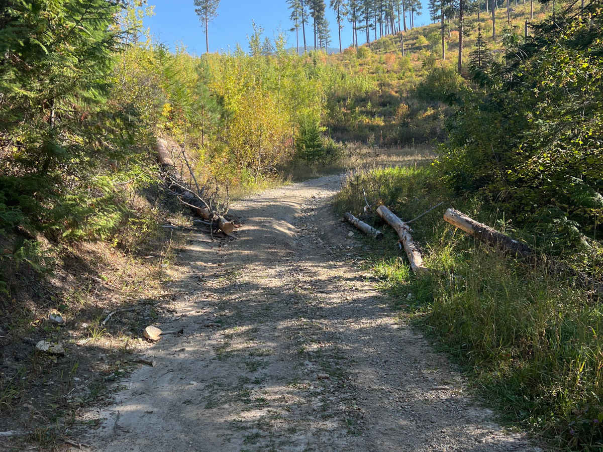 Hell Roaring Canyon photo 4