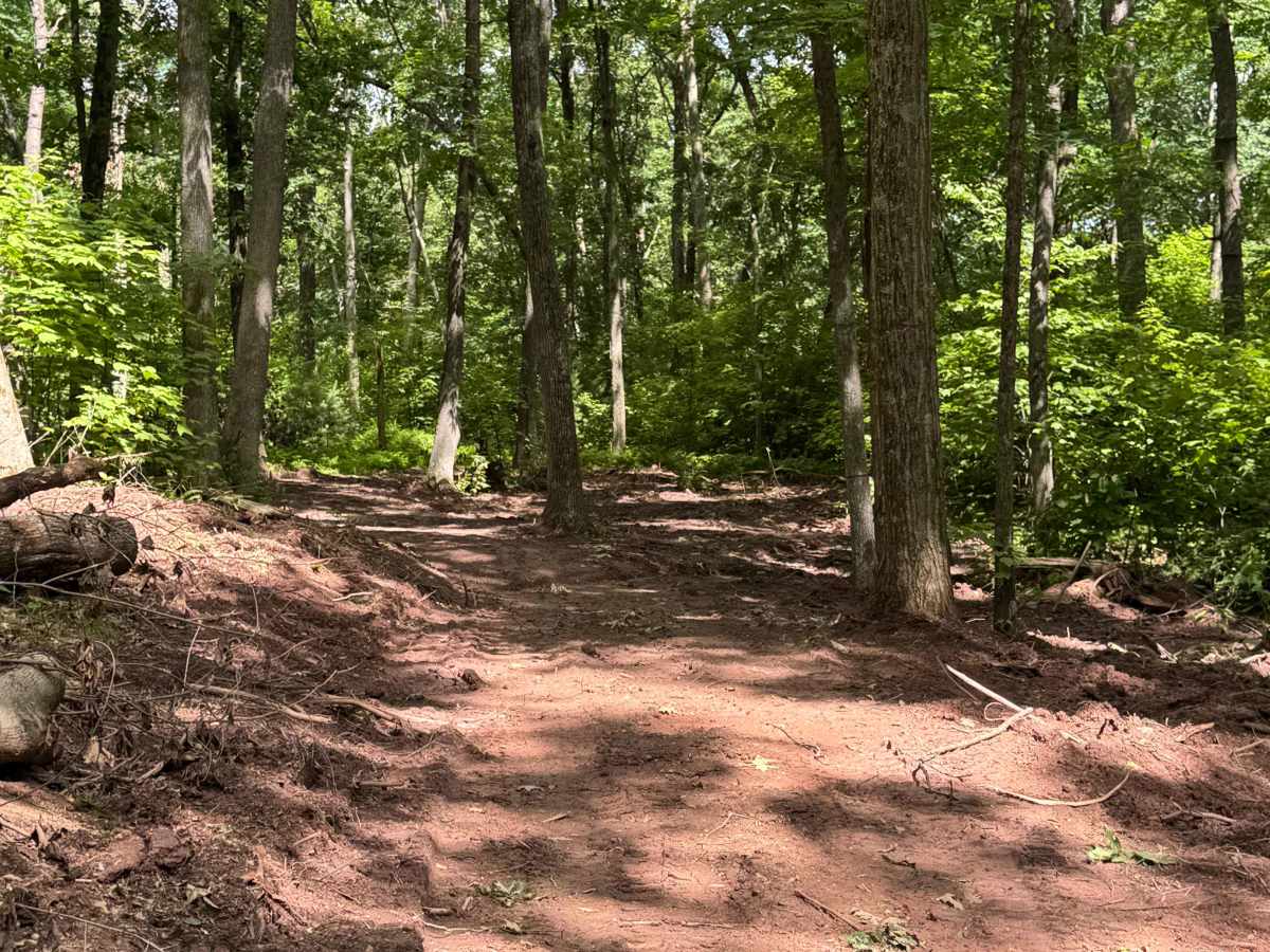Bail-Out Trail Loop photo 5