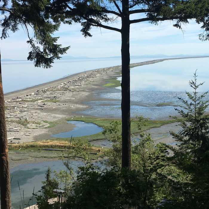 Near Dungeness Spit