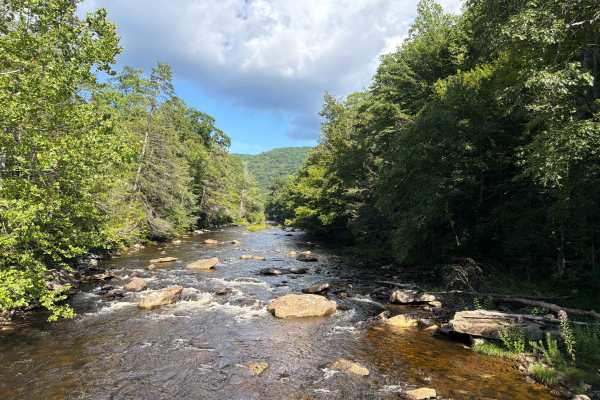 Cranberry River Road - CFR 76
