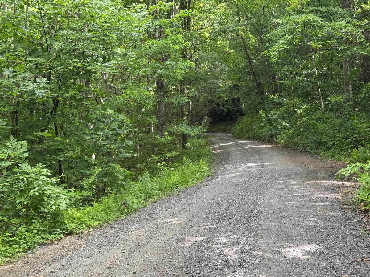 Sugar Creek Gap - FS 4665 photo 3
