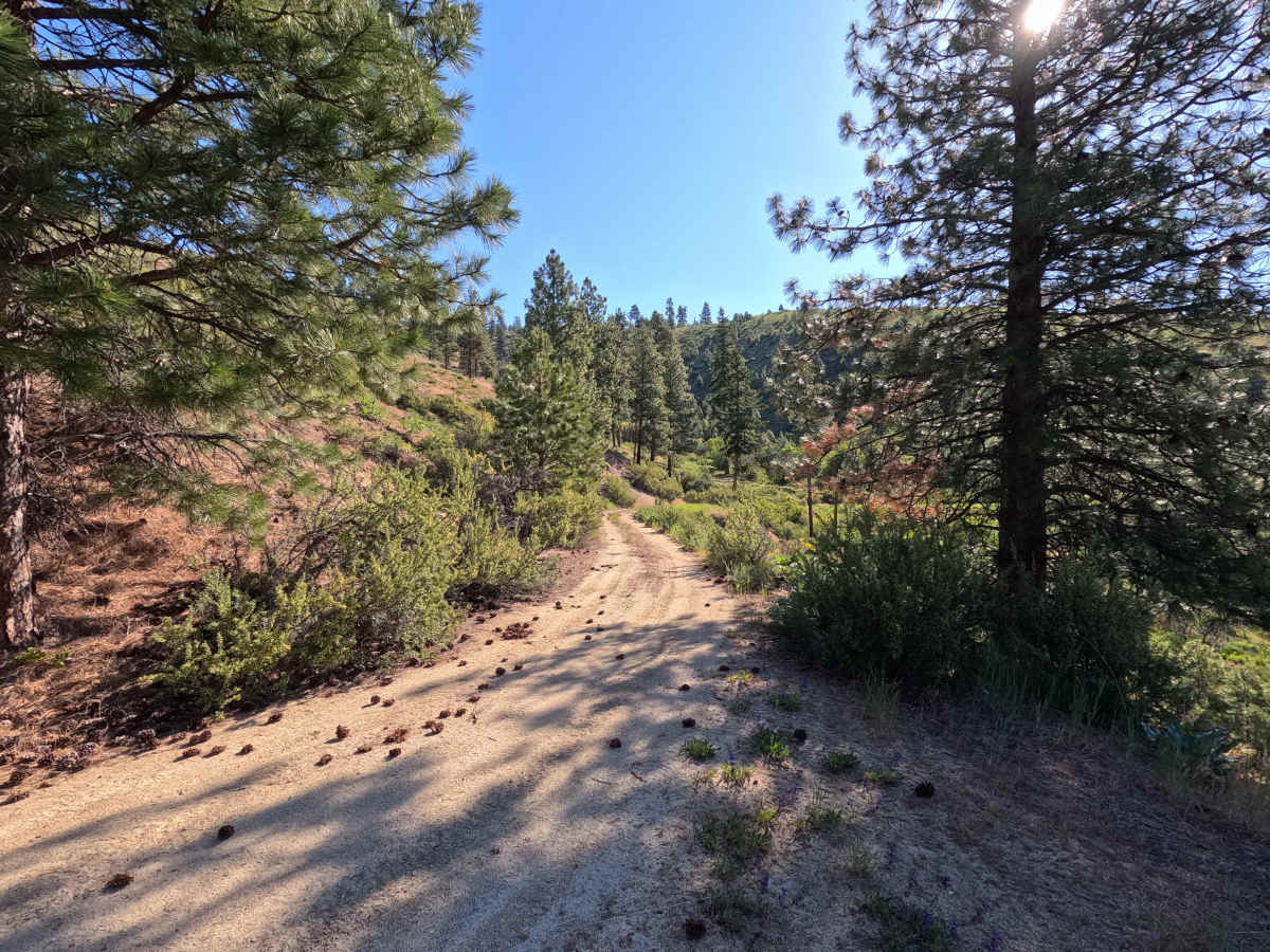 Steliko Ridge Road - FS 5310 photo 5