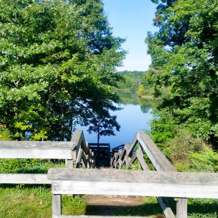 The stairs down to the section that hugs Kent Lake. Near Hickory Ridge Hike & Ski Trail