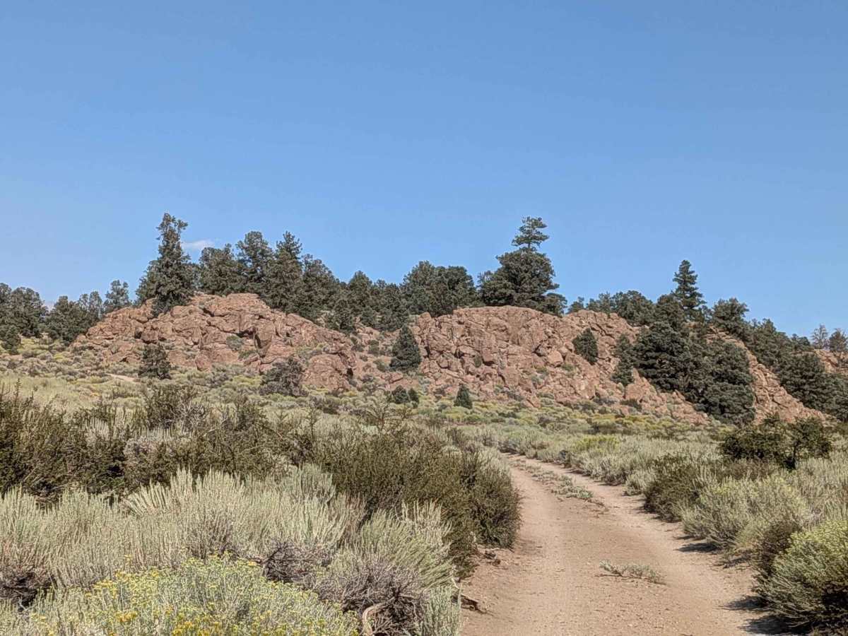 FS 5S106 trail photo