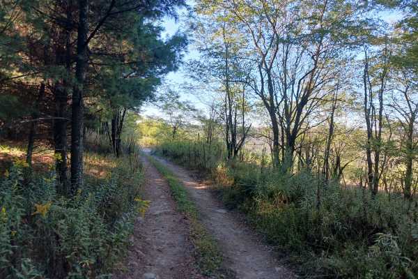 Inner Loop - West - Rock Run Recreation Area