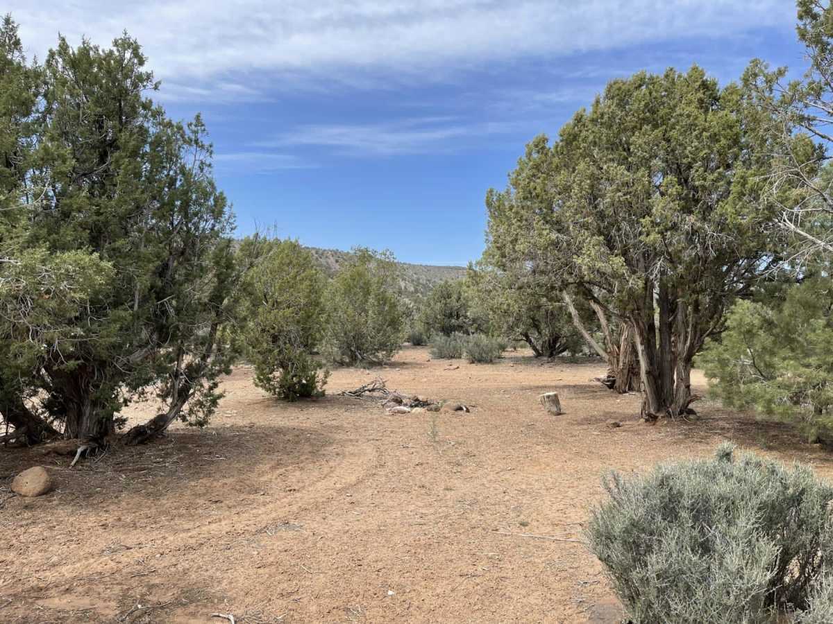 Dead End at Bowler Ranch photo 2