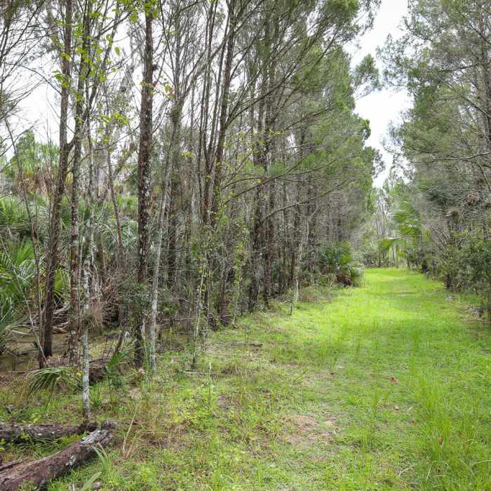 Near Crystal Cove Trail