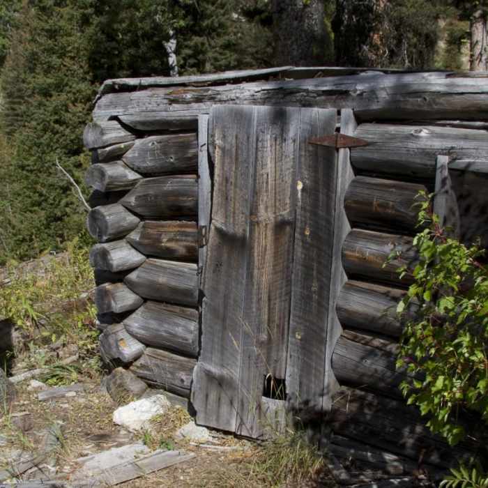 Near Little Queens River - Browns Lake