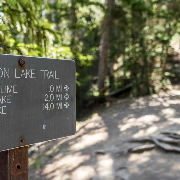 Near Ribbon Lake Trail