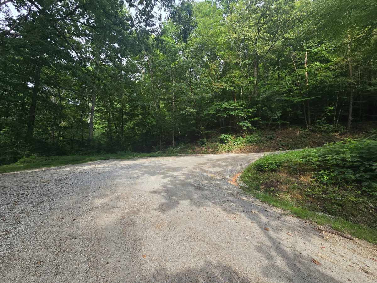 Walden Ridge Road trail photo