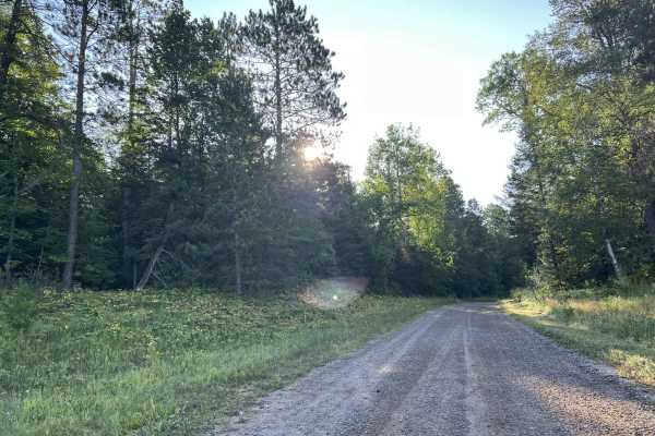 Tie Mill Road - FS 2402