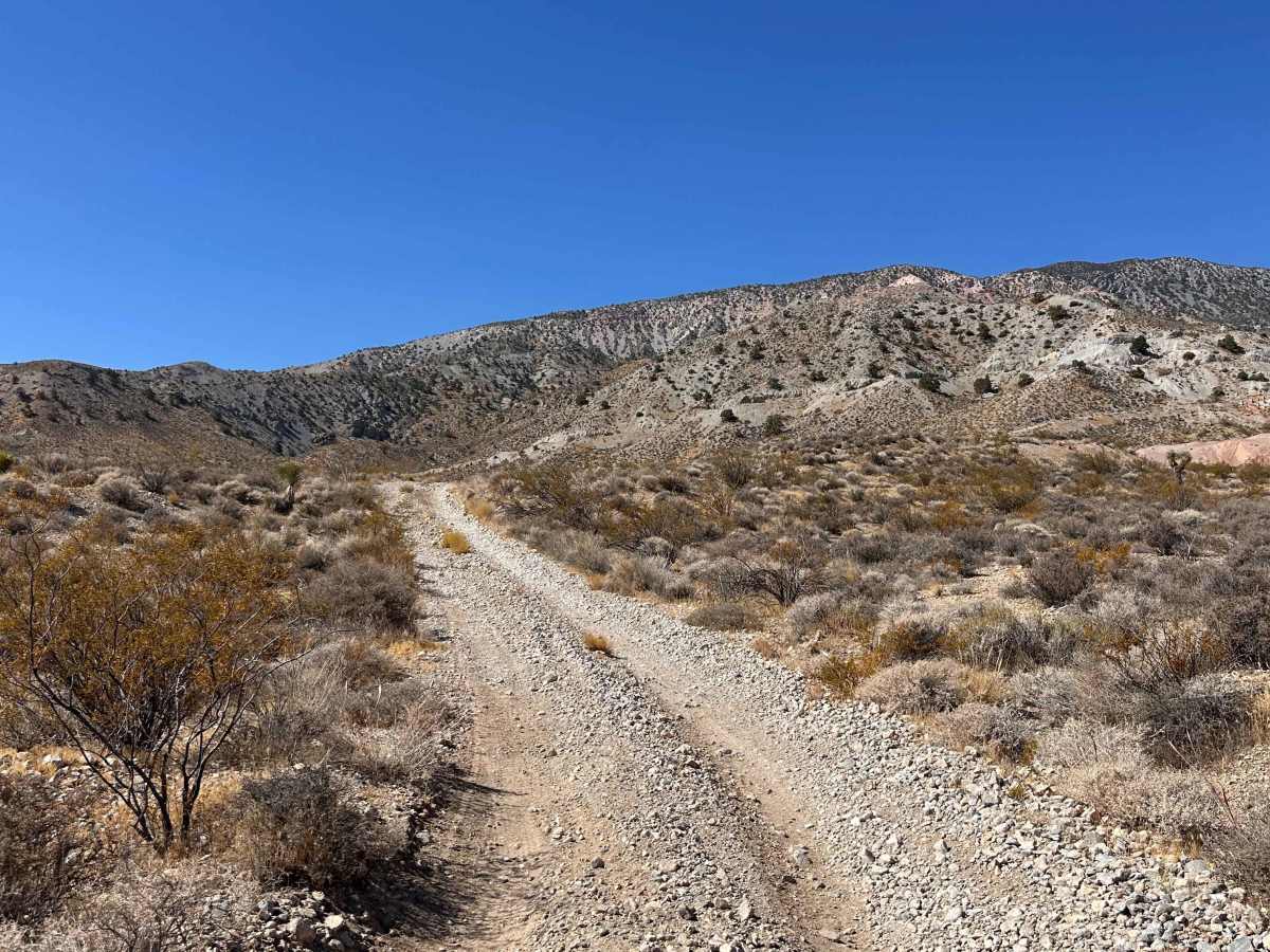Widowmaker Gulch trail photo