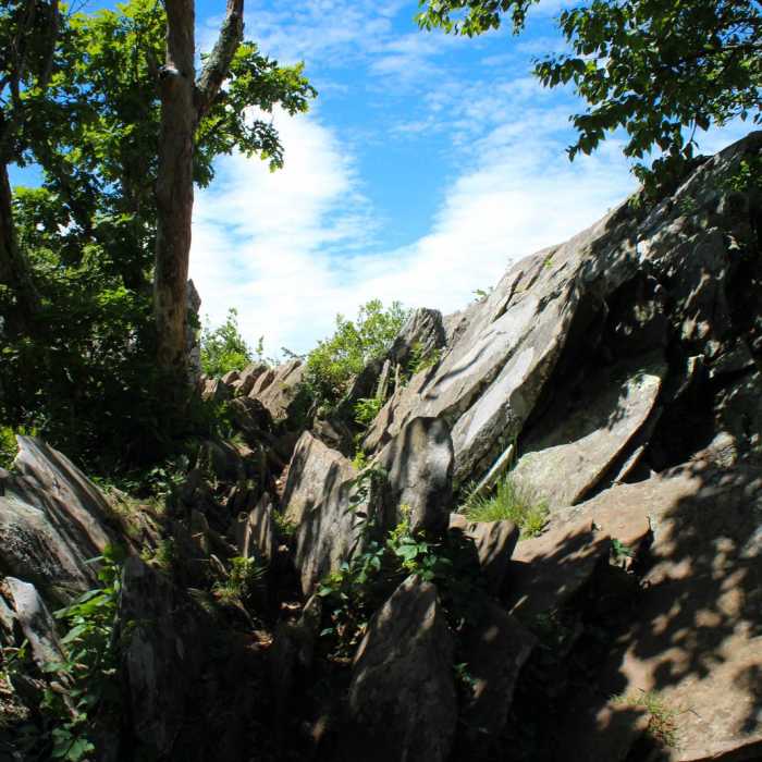 Near Bearfence Loop Trail