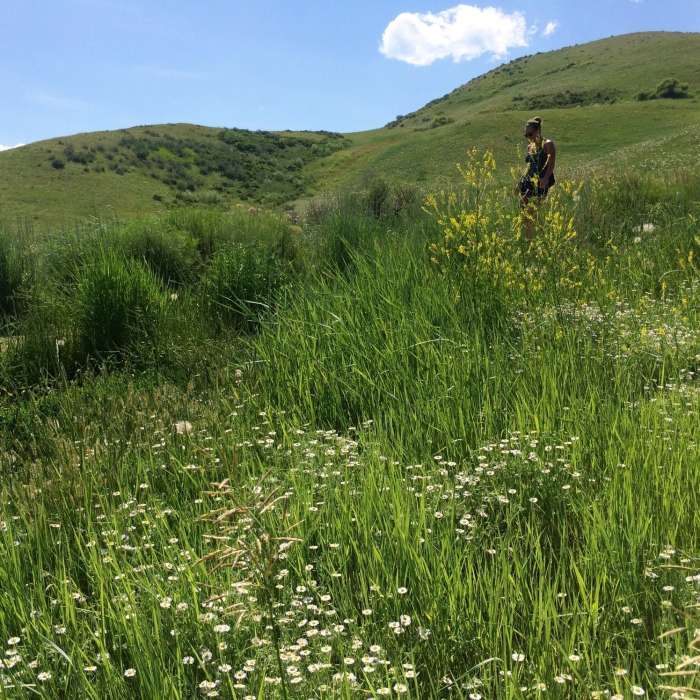 Near Green Mountain Summit Loop