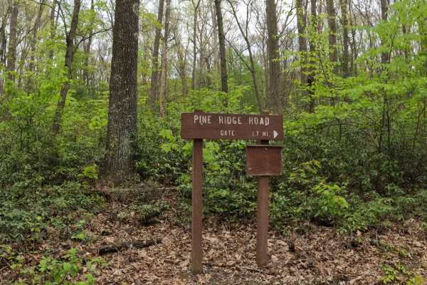 Pine Ridge Road