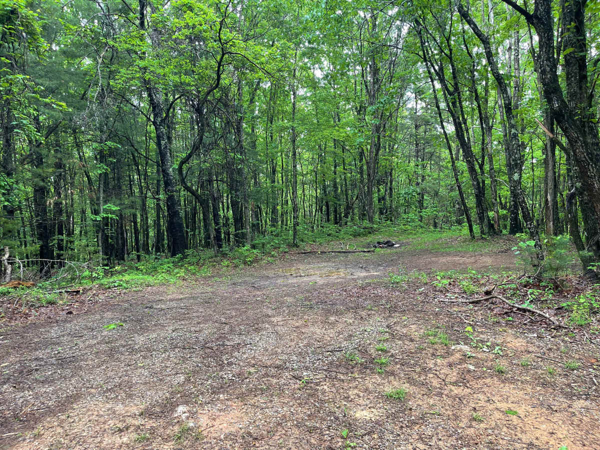 Glade Mountain  photo 4