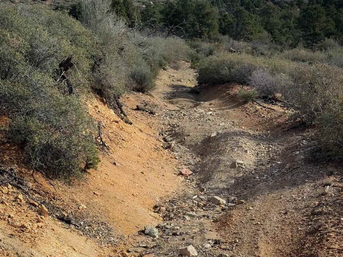 H1335/BLM 7127 photo 6
