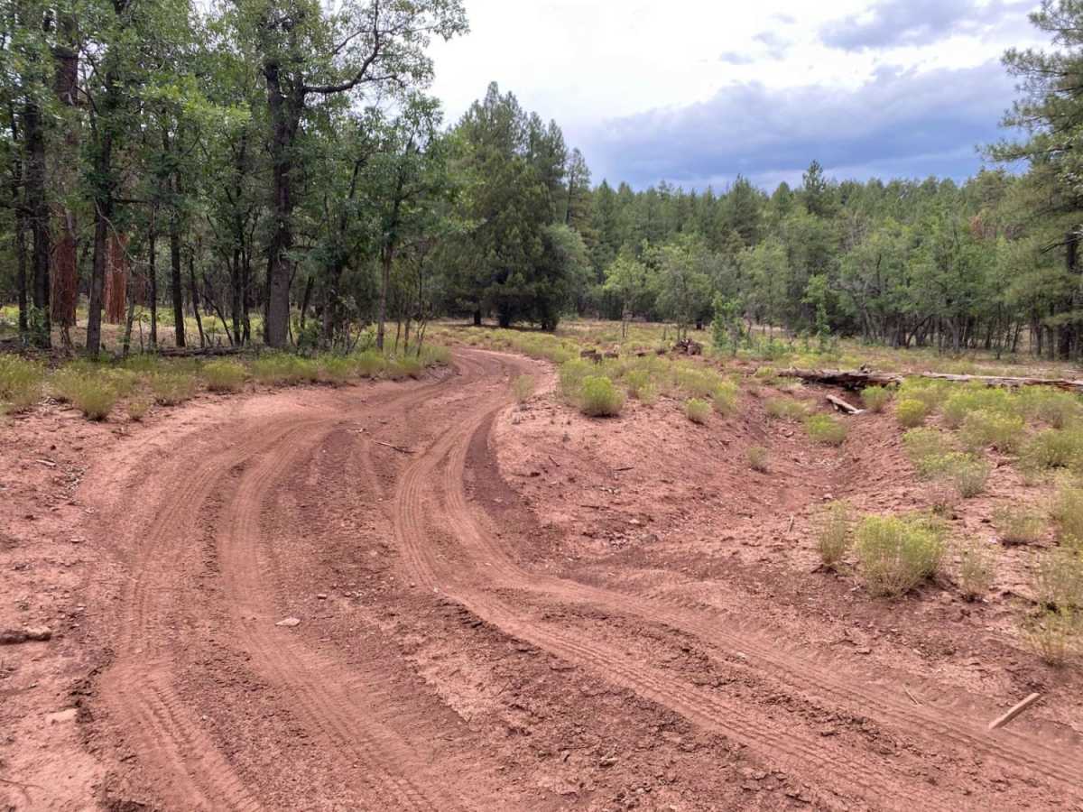 Deadwood Tank photo 5