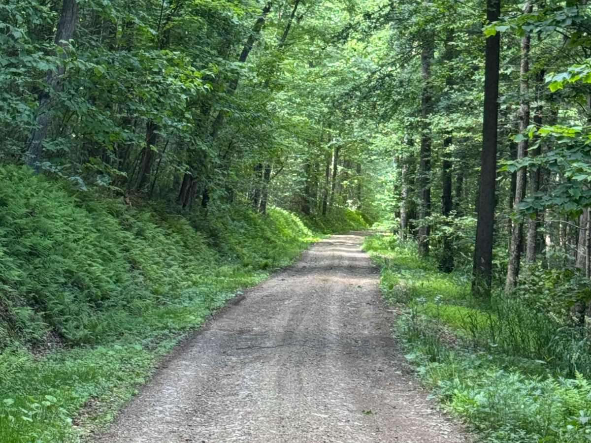 Nelson Run Road photo 5