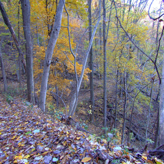 Near Fort Mountain State Park 301 Loop