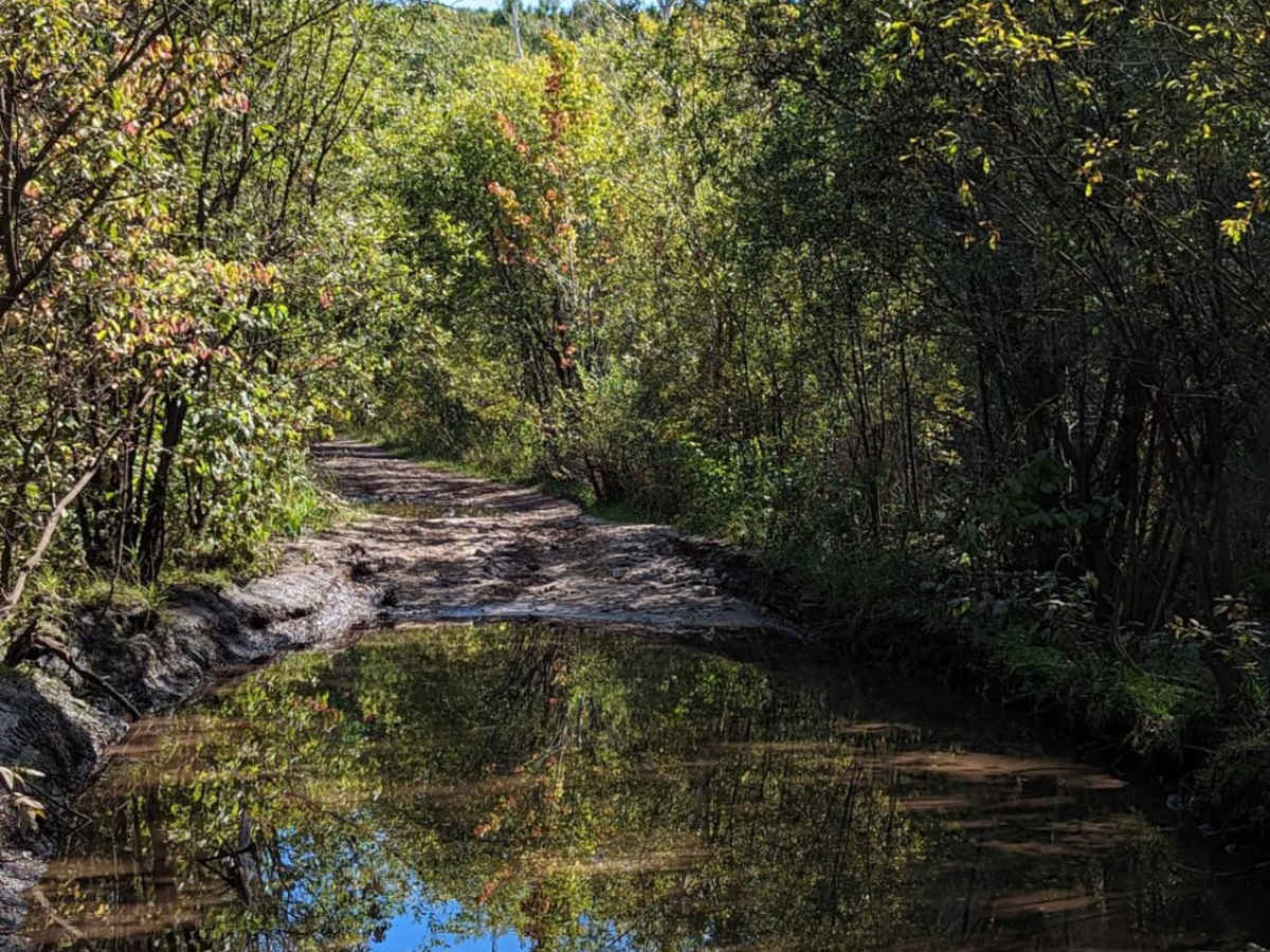 Marl Creek Road 765/760 photo 3