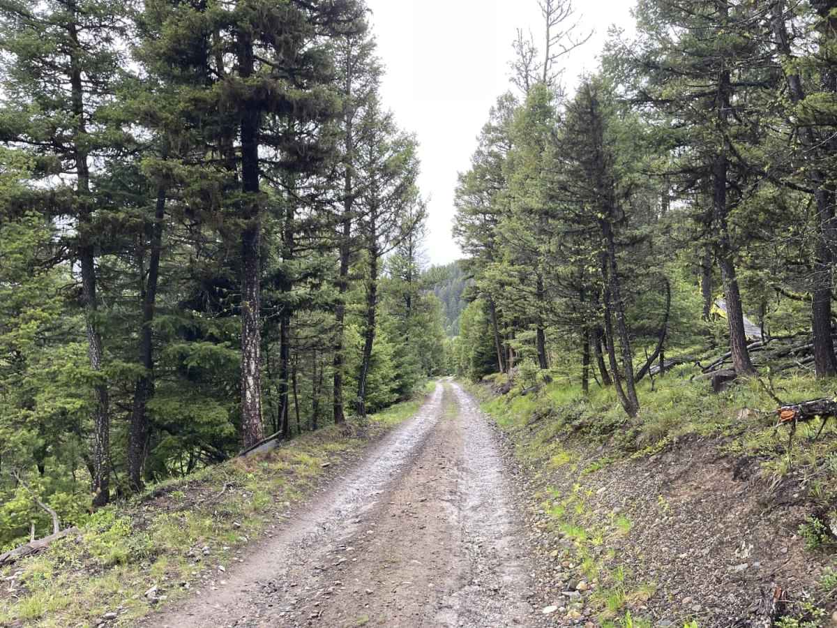 Summit Cabin Road photo 2