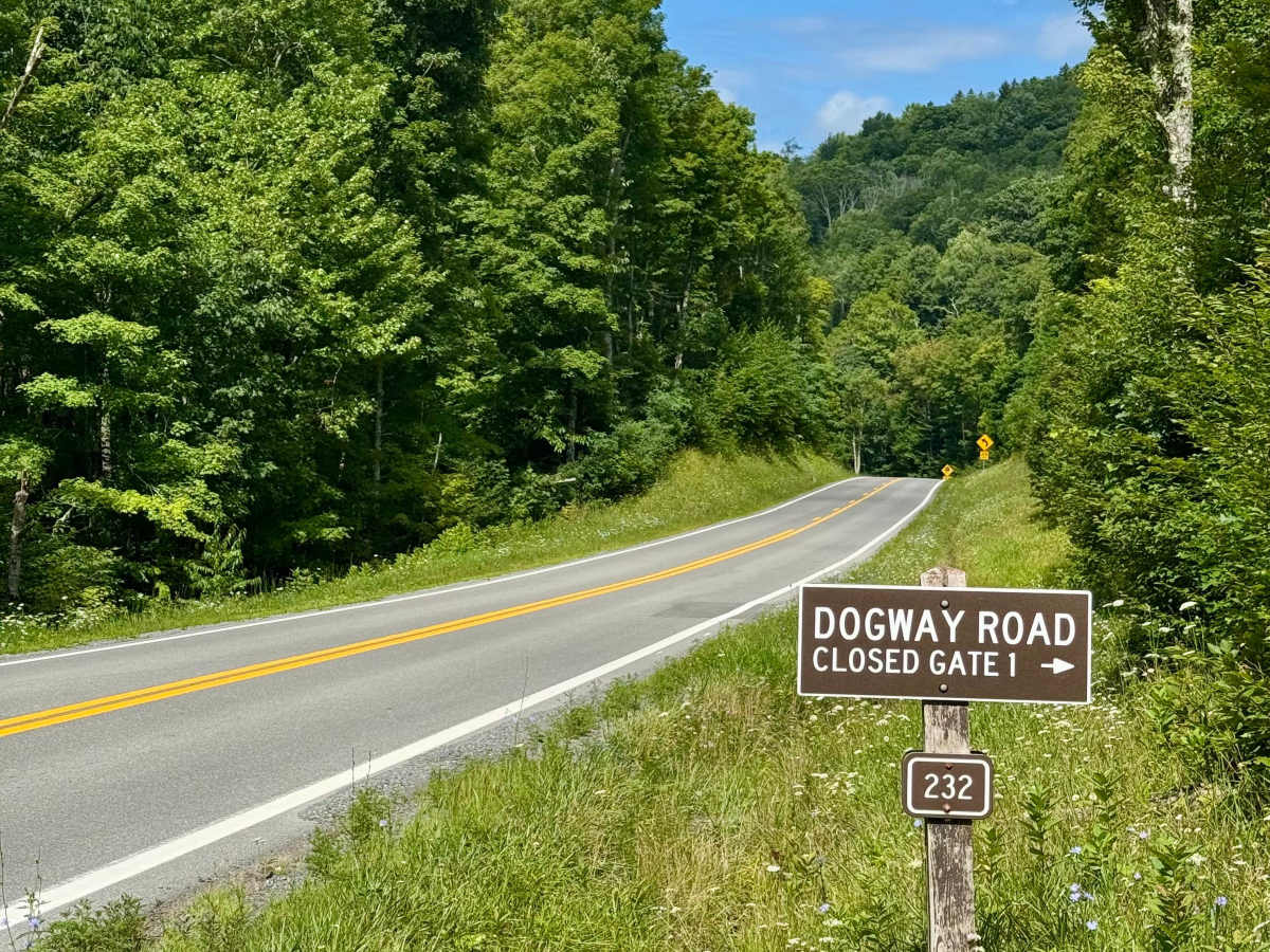 Dogway Road - FS 232 trail photo