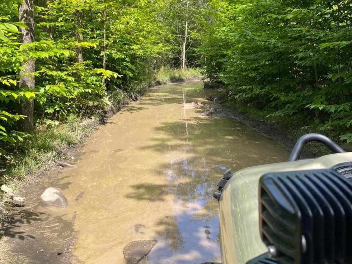 Walker Trail photo 4