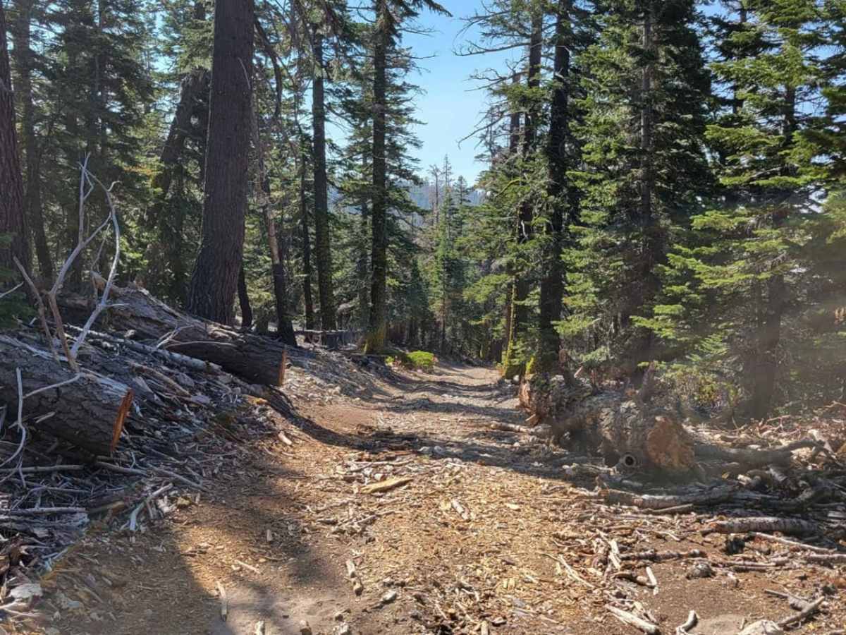 Dill Scenic Trail photo 6