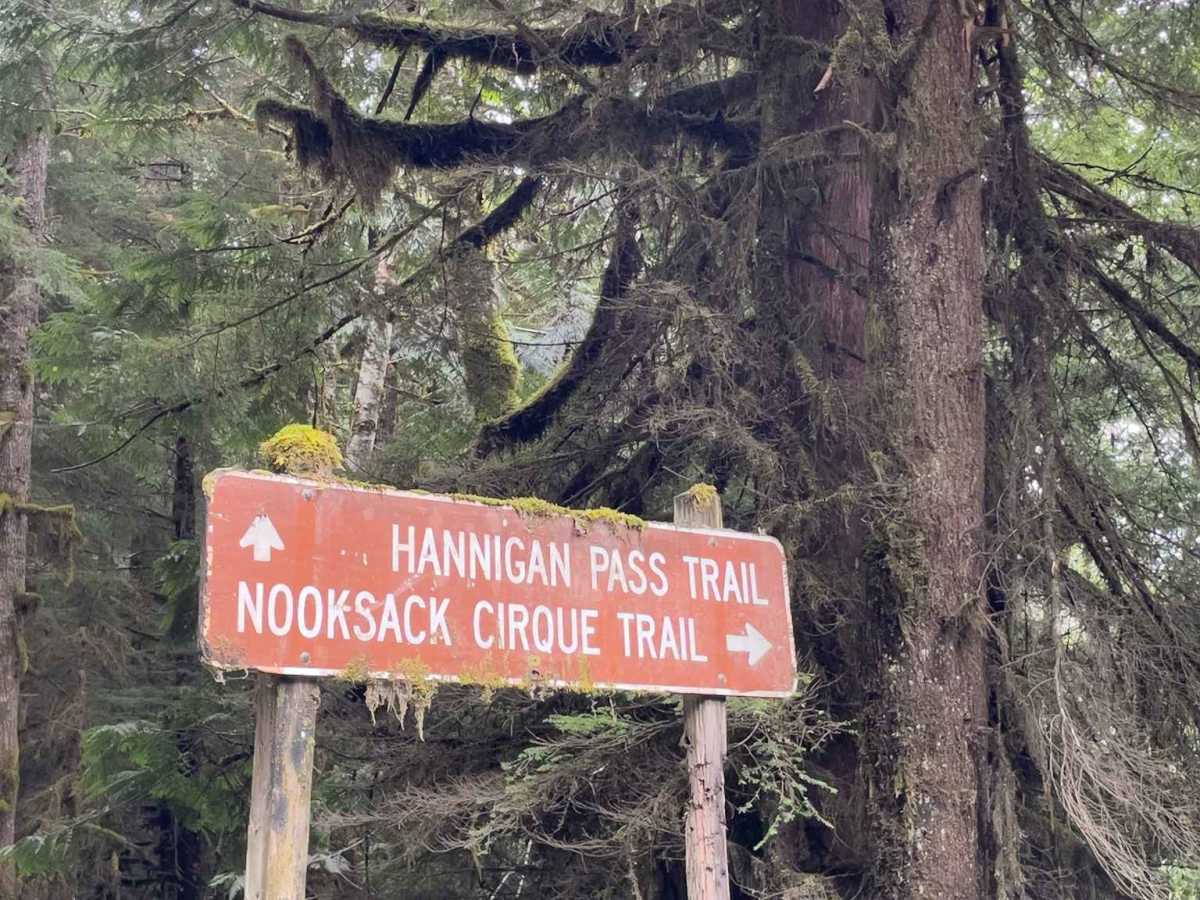Nooksack Trail photo 2